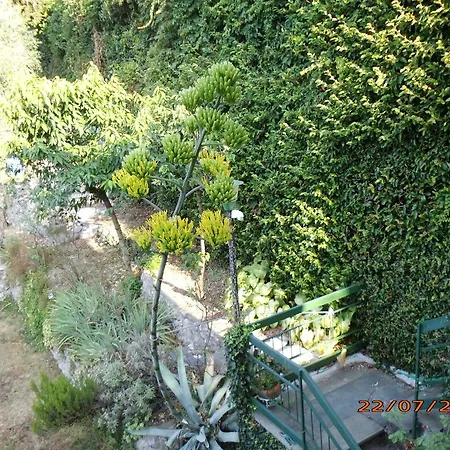 Appartamento Bianca *